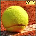 ダウンロード News Tennis Roland Garros 2018 をインストールする 最新 APK ダウンローダ