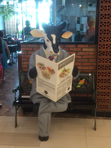 Reading Cow