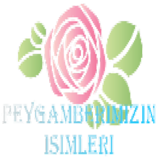 How to install PEYGAMBER EFENDİMİZ 0.1 apk for laptop