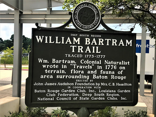 Traced 1773-1777 Wm. Bartram, Colonial Naturalistwrote in "Travels" in 1776 onterrain, flora and fauna ofarea surrounding Baton Rouge