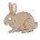 AnimalColor