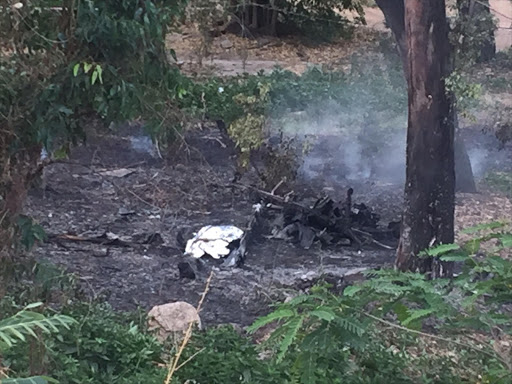 The smouldering wreckage of the microlight at Old Parks Bowls Club in Johannesburg.