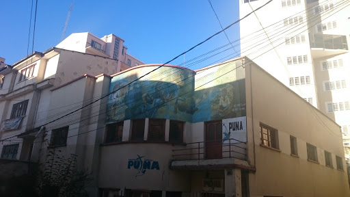 Mural Puna