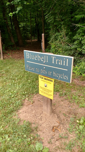 Bluebell Trail Three Creeks Park