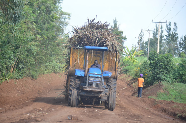 A tractor ferries harvested cane to Sony Sugar Factory near Awendo town.
