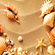Download Sea Shells Live Wallpaper For PC Windows and Mac 1.0