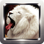 White Lion Wallpapers Apk