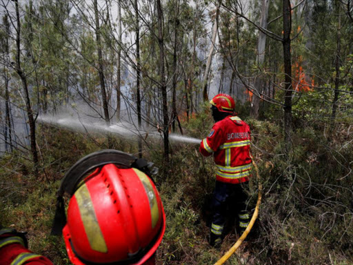 Firefighters work to put out a forest fire in Carvalho, near Gois, Portugal June 19, 2017. /REUTERS