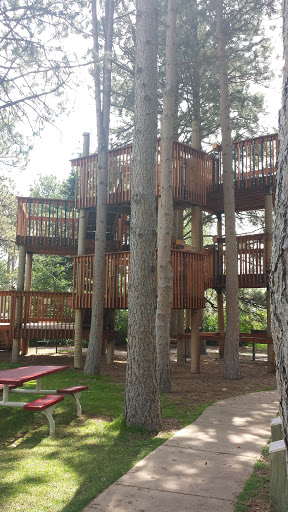 Lions Park Tree House