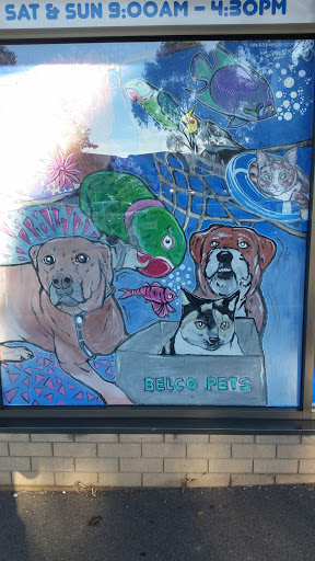 Belco Pets Mural