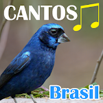 Canto Dos Pássaros Brasil Apk