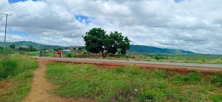 Part of the 301 acres of Mbuyu wa Chapa land earmarked for development.