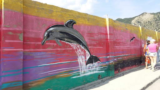 Граффити Дельфин