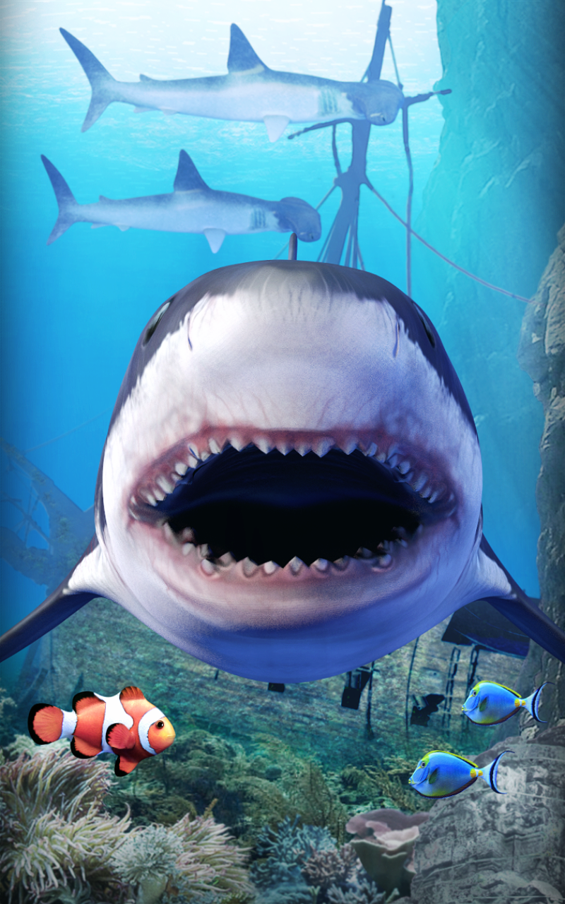 Android application Shark aquarium screenshort