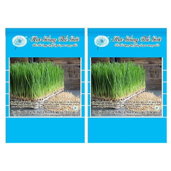 Bộ 2 Gói Hạt Giống Cỏ Lúa Mì Đỏ Cỏ Mèo Wheatgrass (Triticum aestivum) 100g