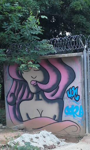Pink Woman Grafiti
