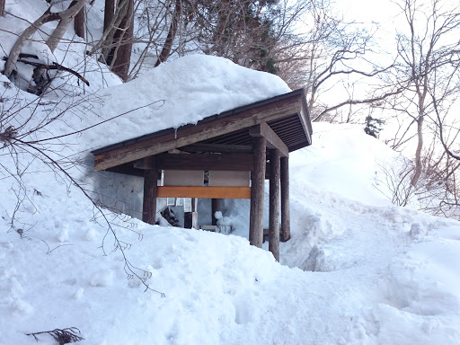 里見の松