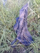 Pair of pants worn by a suspected poacher allegedly killed by an elephant, before his remains were eaten by lions.