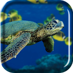 Turtle Sea Live Wallpaper Apk