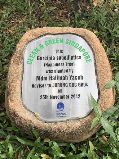 Clean and Green Plaque
