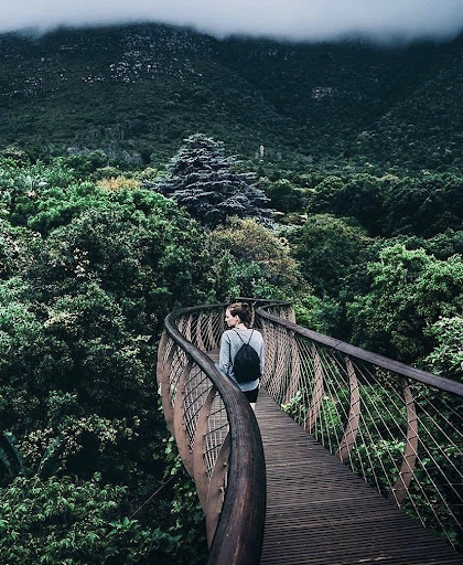 The Boomslang walkway at Kirstenbosch National Botanical Garden.