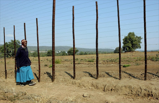 July 18,2016. AGGRIEVED: Johanna Seleise walks outside a farm where she says her relatives’ graves were allegedly being bulldozed by farmer Rian du Plessis at Duplex farm in Deerpark outside Tzaneen. Pic: Sandile Ndlovu. © Sowetan.