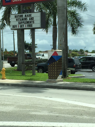 Artistic Electrical Box 