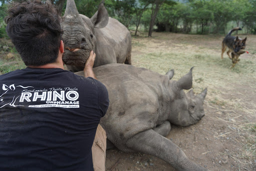 Axel Tarifa with his rhino Valentine, Nandi, and her best friend Makhosi.