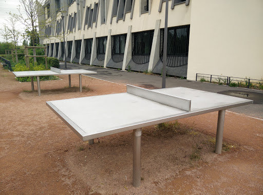 Table De Ping Pong 