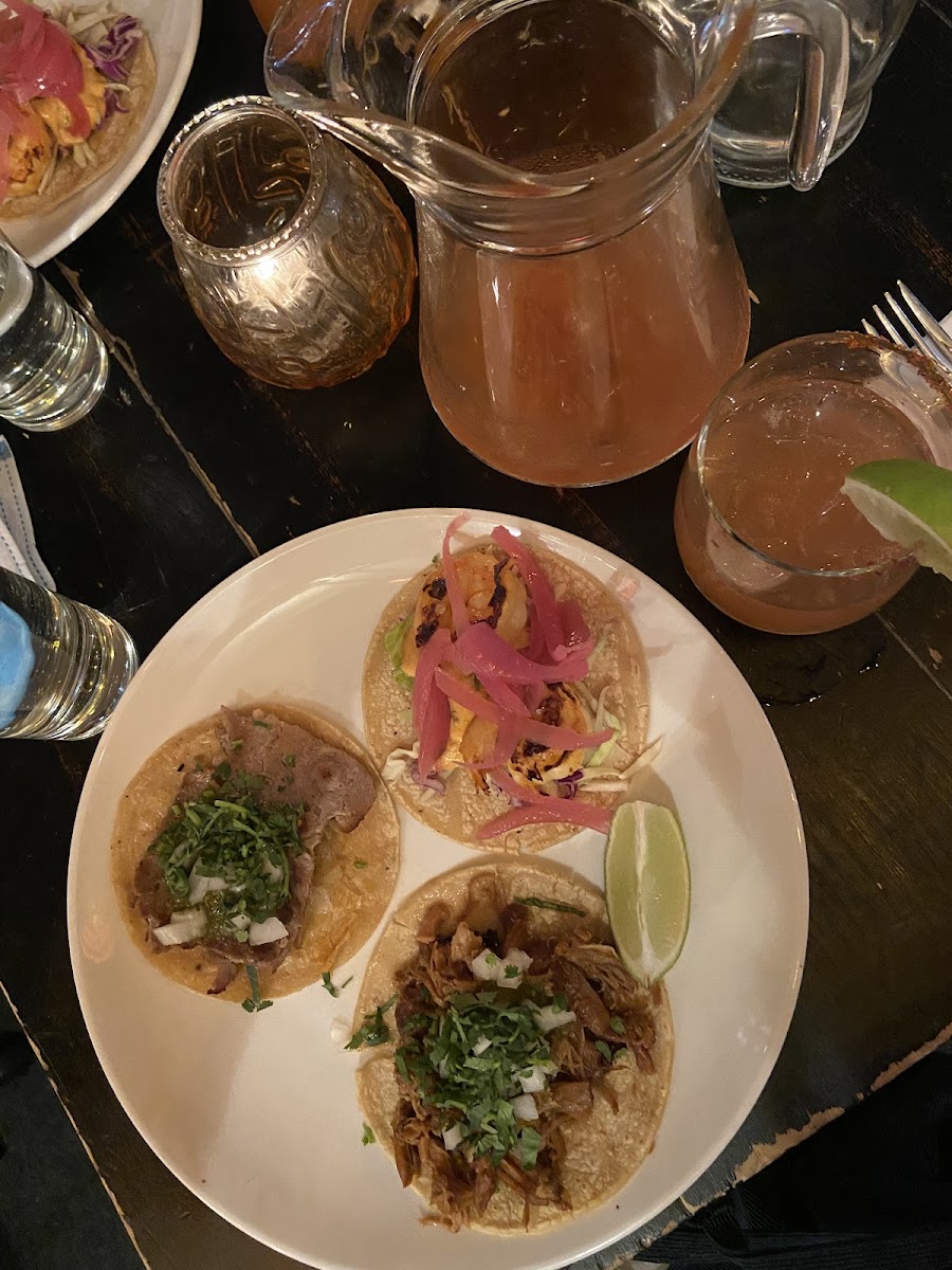 Bistec con queso, camaron, and carnitas tacos with a blood orange margarita pitcher