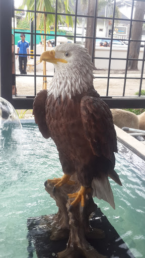 Eagle Statue At Sushi Tei