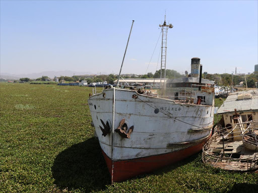 Water Hyacinth maroon Lake Victoria affecting various transport activities within the lake and fishing business on February 8,2017