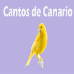 Cantos de Canario LITE Apk