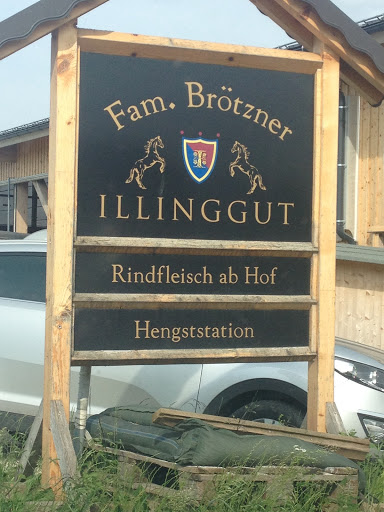 Illinggut 