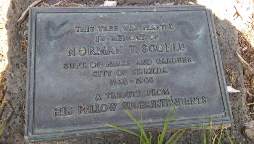 Plaque is located under a tree in the St Kilda Botanical Gardens. This tree was planted  in memory of Norman T. Scoble Supt. of Parks and Gardens City of St. Kildat 1938-1966 A tribute from His...