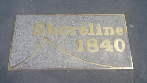 Shoreline Marker - Taranaki Street 
