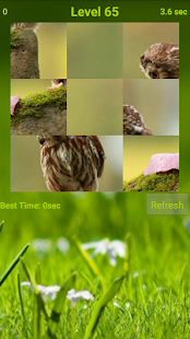 How to install Owls Puzzle 1.1 mod apk for android