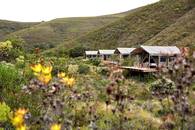 Eco Camp at Gondwana Private Game Reserve.