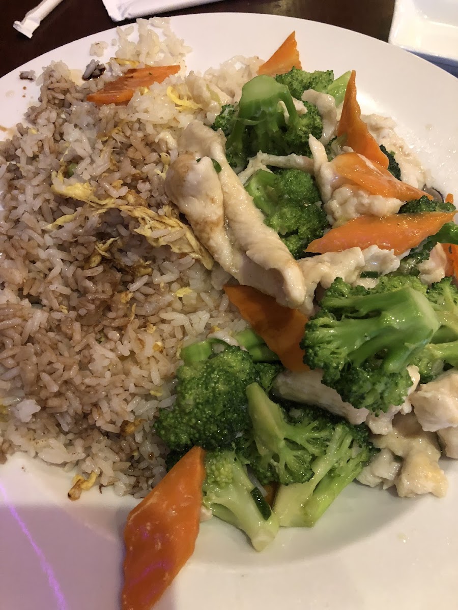 Chicken and broccoli with white sauce