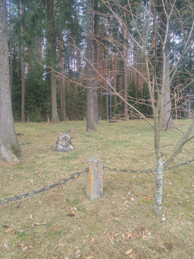 Каракуличи, немецкое кладбище