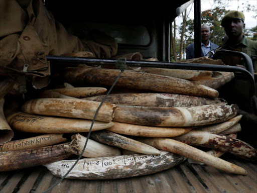 Kenya Wildlife Service rangers guard elephant ivory at their headquarters in Kenya's capital Nairobi April 15, 2016. REUTERS
