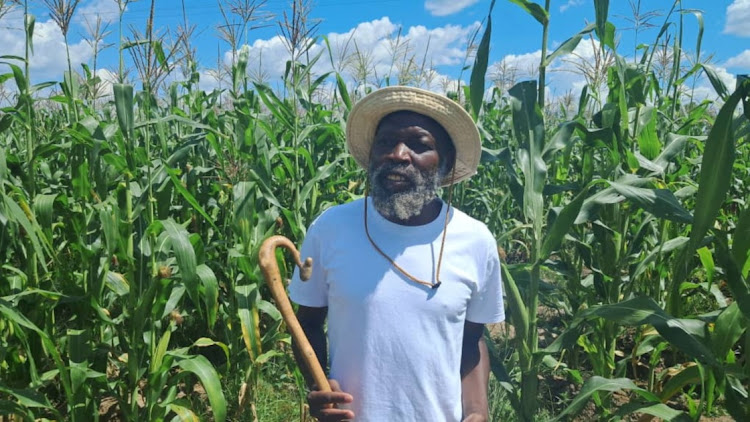 Ishmael Chokurongerwa in Nyabira, Zimbabwe March 12 2024. Picture: REUTERS/H-METRO/Arron Nyamayaro