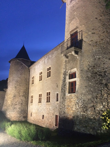 Château de Montmaur 