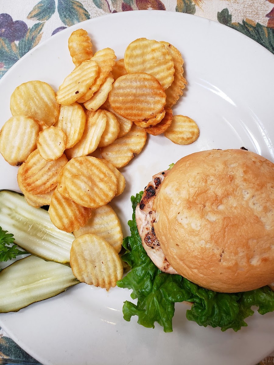 Delicious grilled chicken sandwich on a gluten-free bun with fries from a dedicated fryer...highly recommend!!