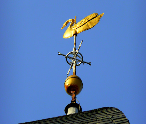 Swan on top of the Evangelical Church