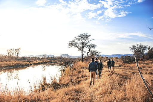 The Marataba Conservation Camps offer guests the opportunity to explore the bush on foot.