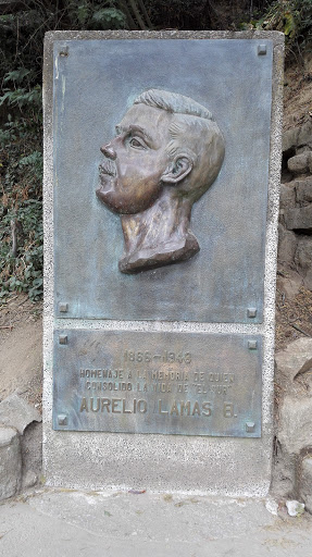 Aurelio Lamas