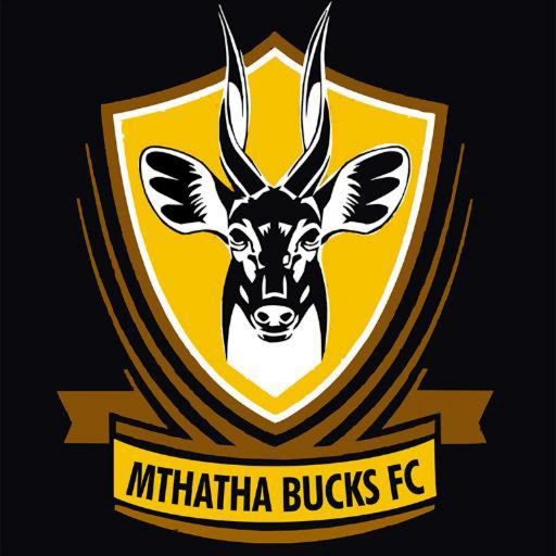 Mthatha Bucks assistant coach Sibusiso Mapompo hopes the festive season break will give them time to recover from their continued losses in the National First Divison following their 2-1 loss against Jomo Cosmos at Vosloorus Stadium over the weekend. Picture: FILE