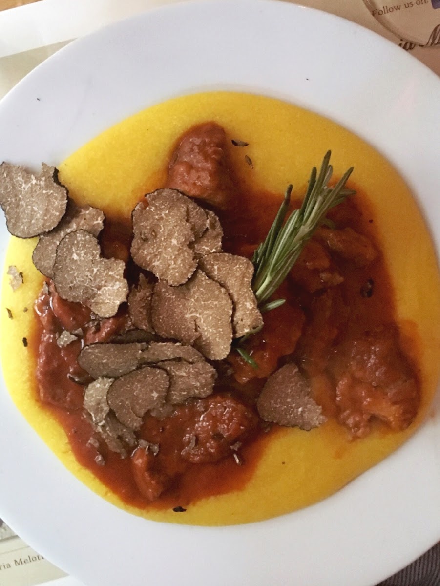 Wild boar stew