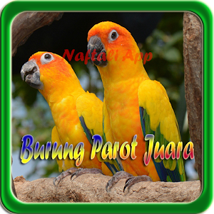 Download Kicau Burung Parrot Juara For PC Windows and Mac